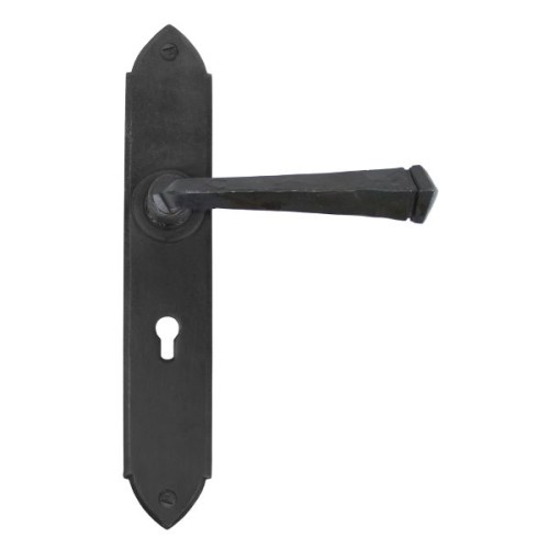 GOTHIC LEVER HANDLE ON BACKPLATE